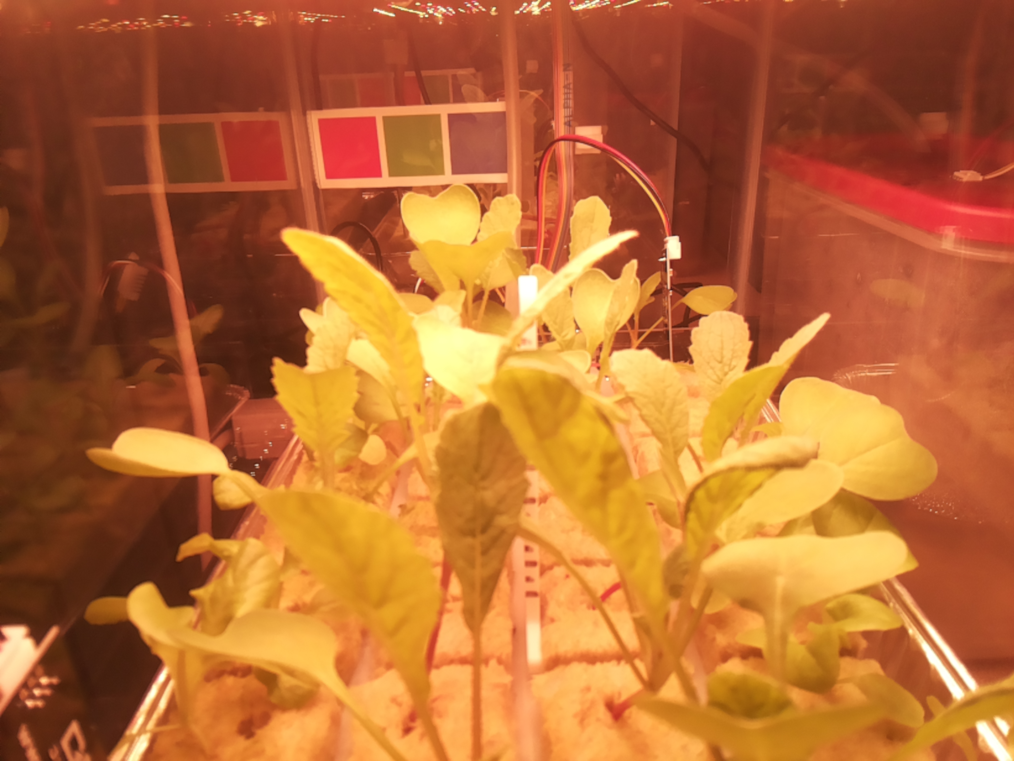 Greenhouse Agent Project